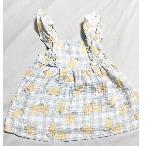 Emily And Oliver Baby Girls Size 24M Blue Gingham Lemon Print Gauzy Cotton Dress - Picture 1 of 4